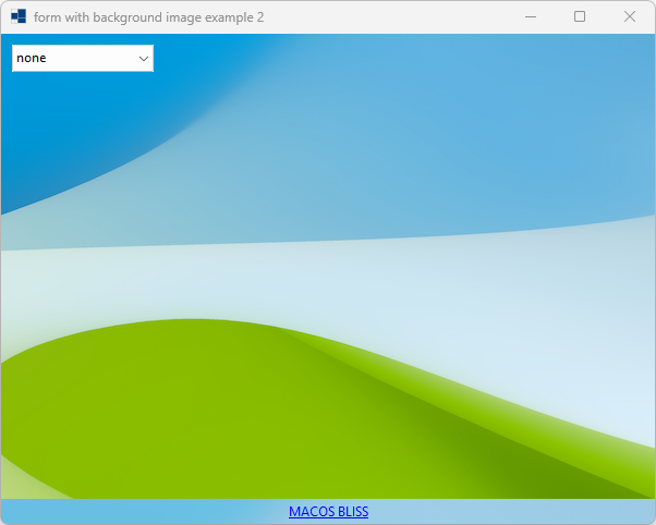 form_background_image2_w.png